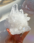 Clear Quartz Cluster