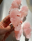 Rose Quartz Seahorse