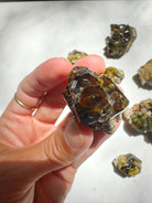 Rare Mali Green Grossular Andradite Garnet Epimorph w/ Clinochlore AAA Quality Baltic Mermaid
