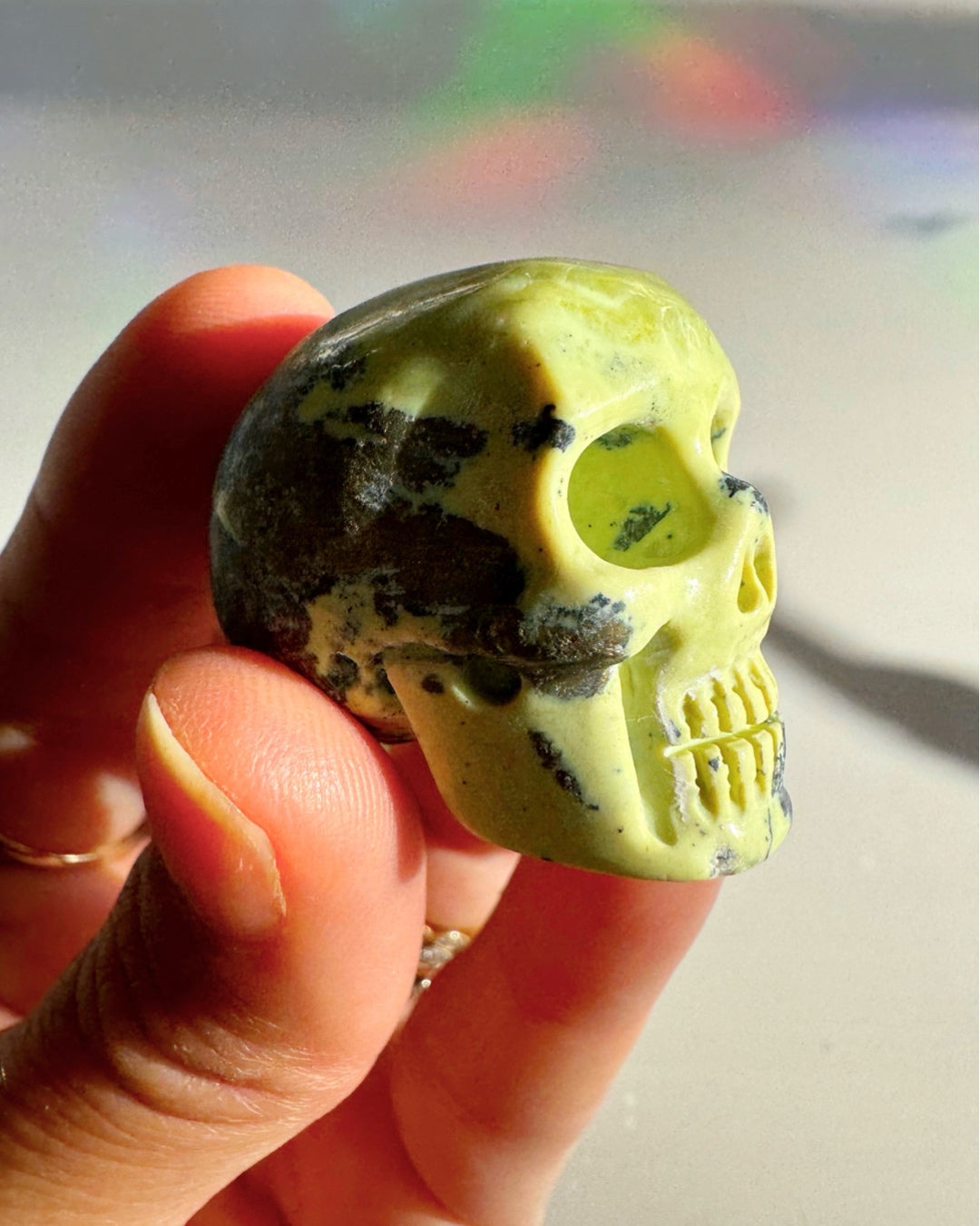 Serpentine Skull - Baltic Mermaid