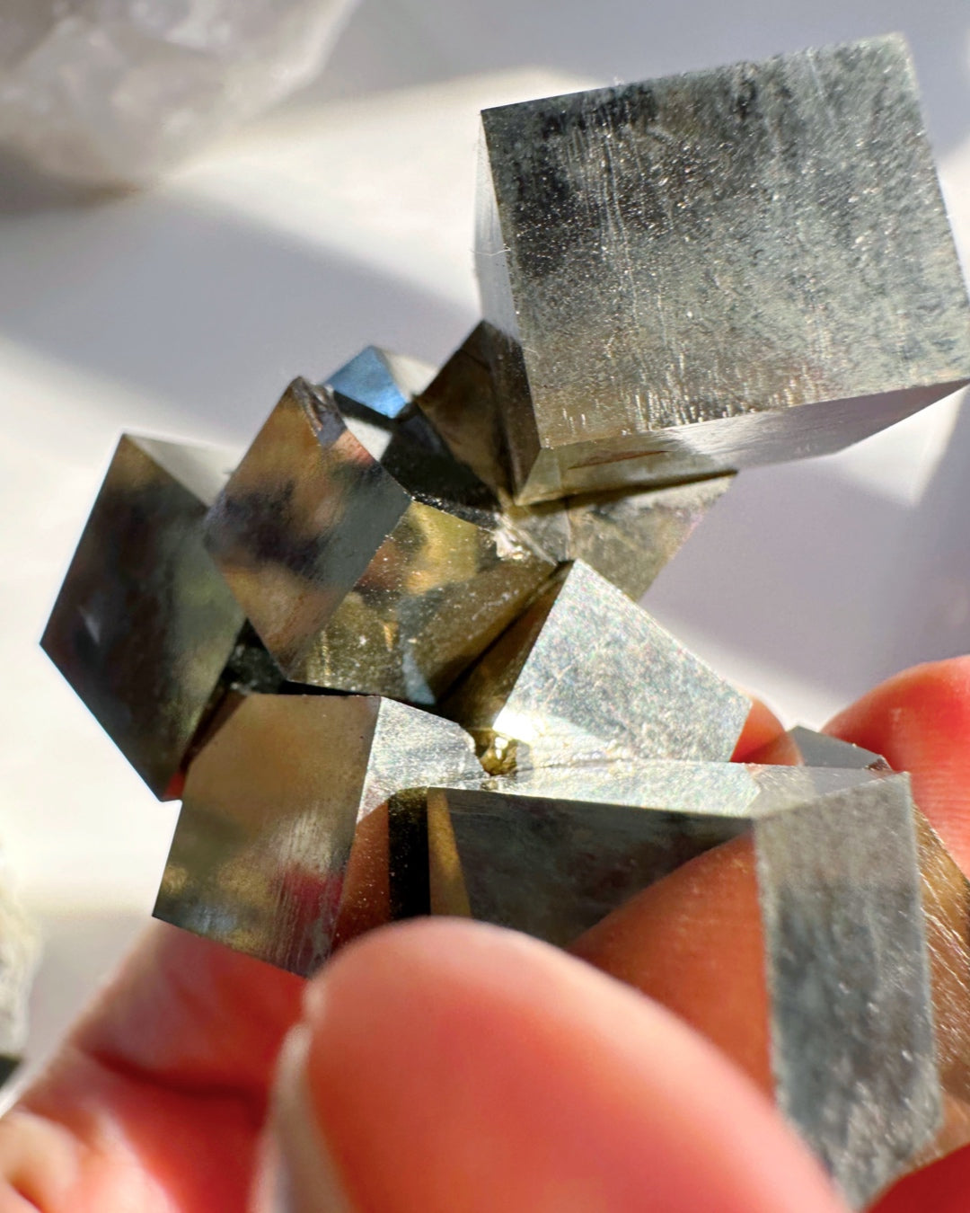 Pyrite Cube Cluster - AAA - Baltic Mermaid