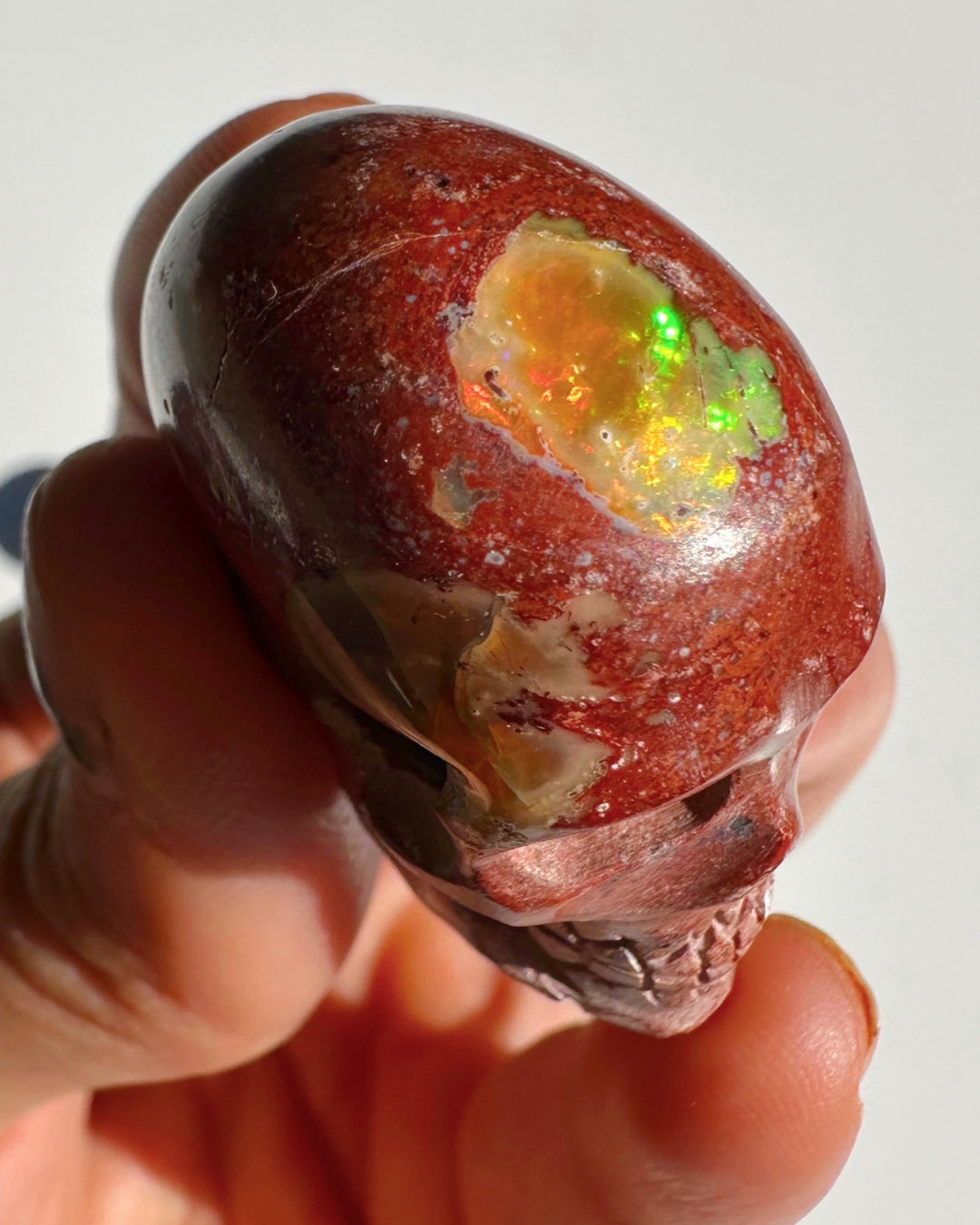 Cantera Opal Skull - Baltic Mermaid