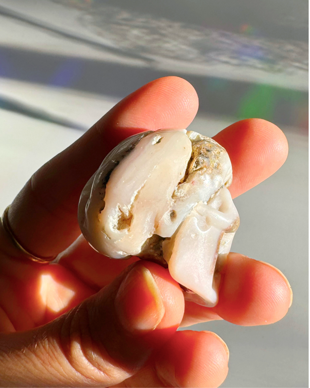 Pink Opal Skull - Baltic Mermaid