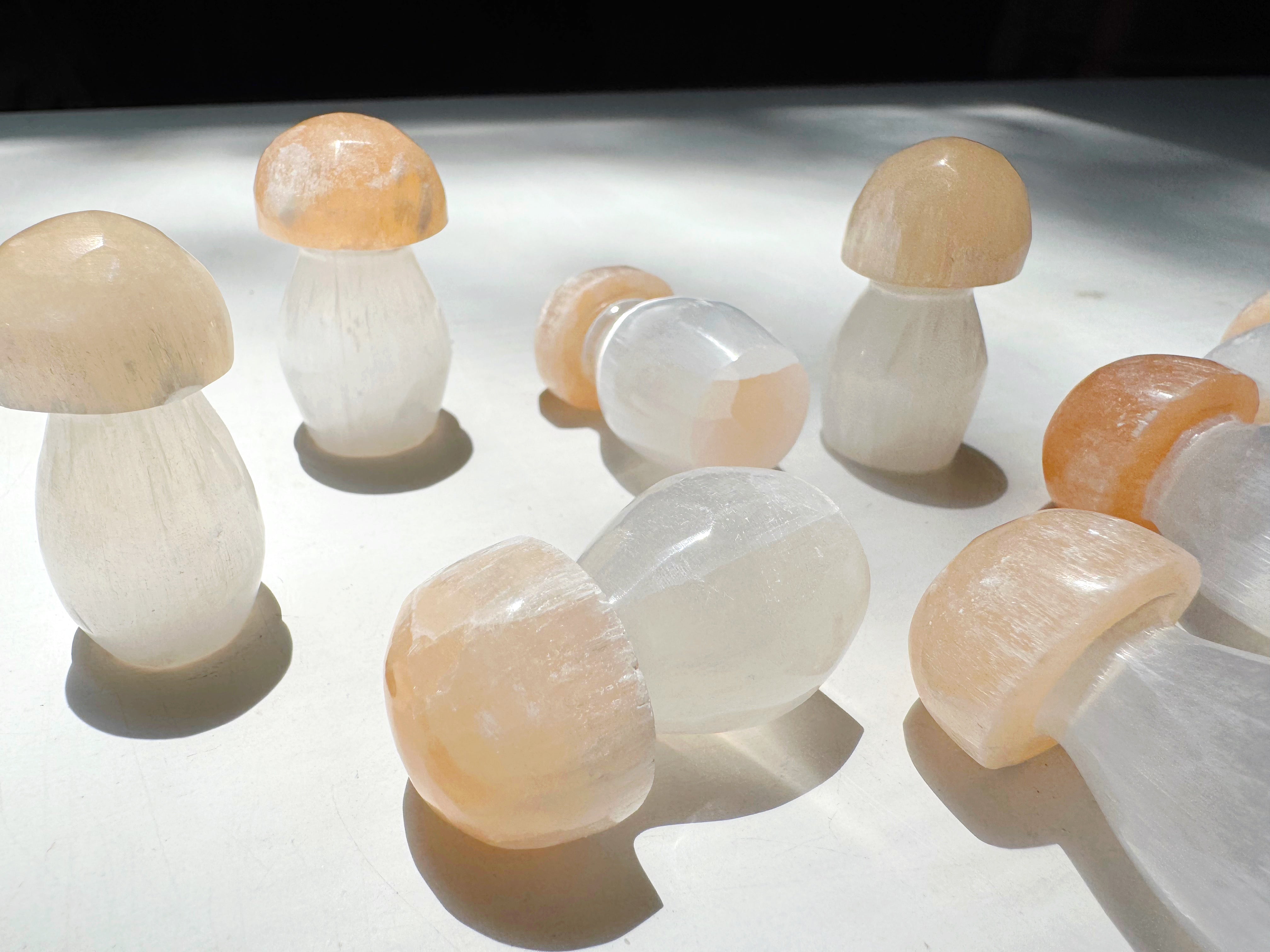 Lil’ Selenite Mushrooms Baltic Mermaid