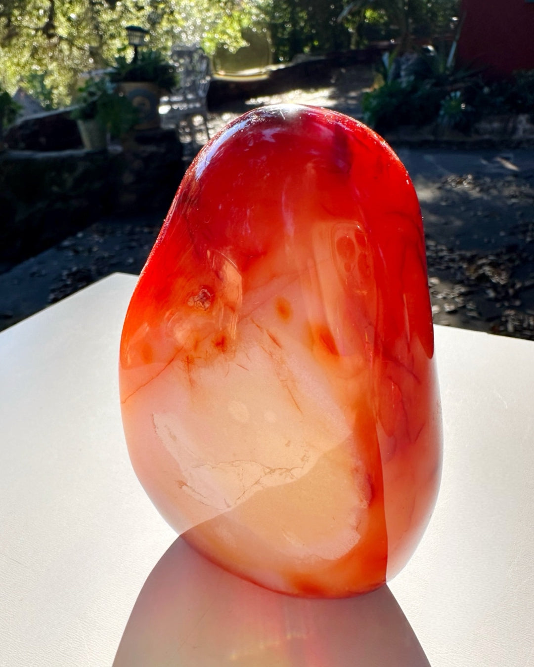 Carnelian Agate Freeform