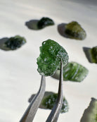 Chlum Moldavite #7 - AA - Baltic Mermaid