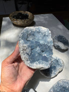 Celestite Cluster Baltic Mermaid