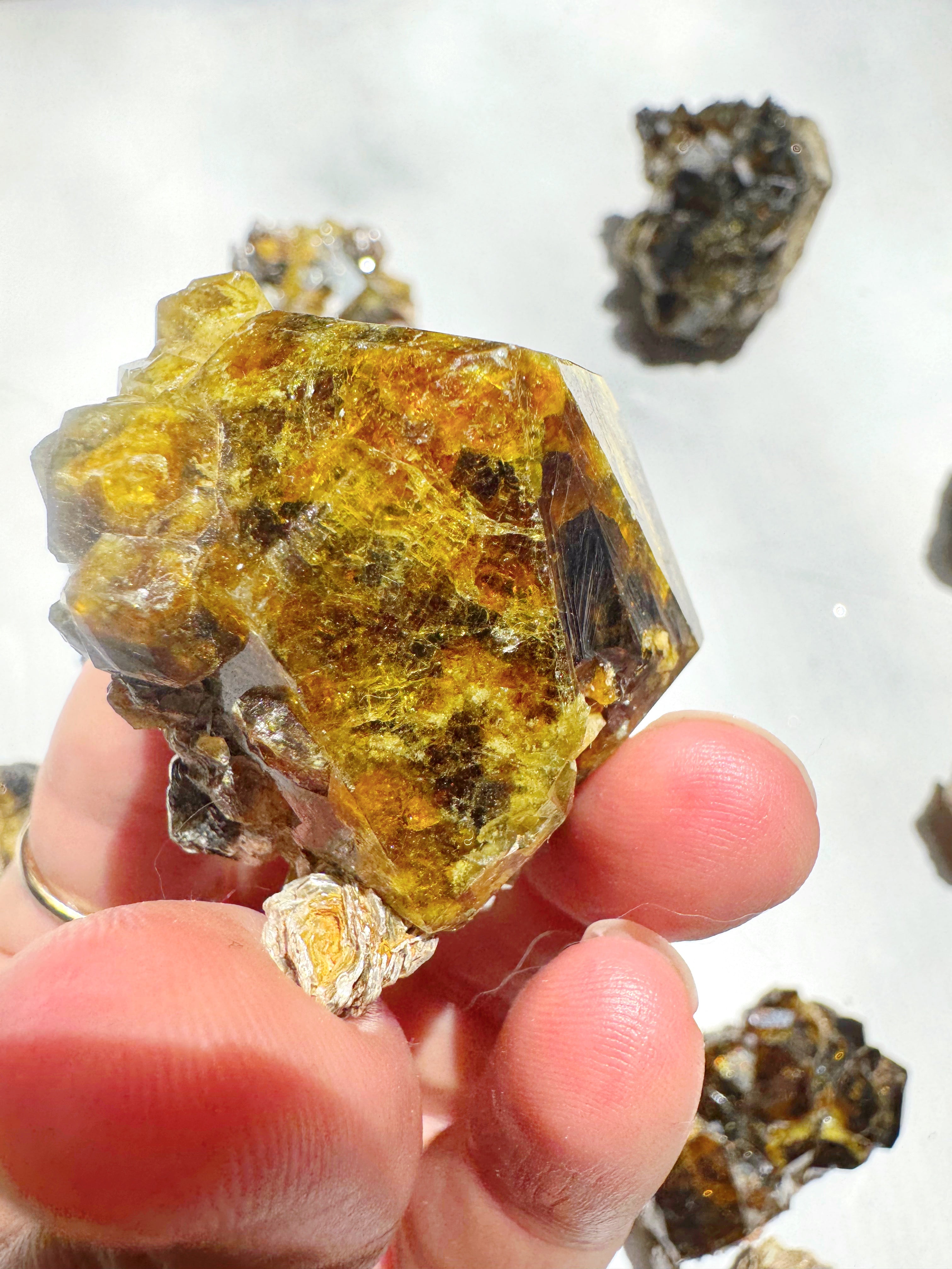Rare Mali Green Grossular Andradite Garnet w/ Clinochlore AAA Quality Baltic Mermaid