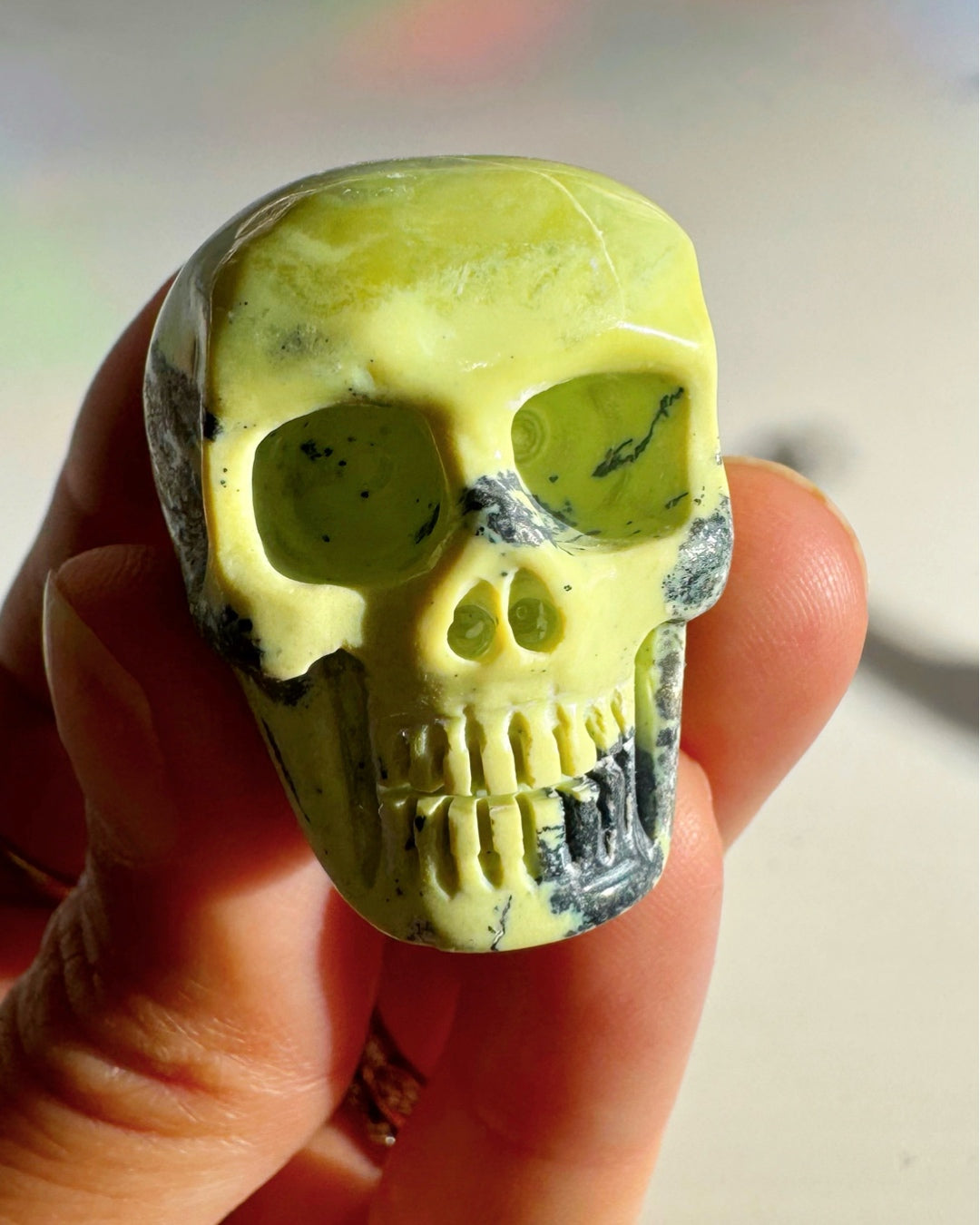 Serpentine Skull - Baltic Mermaid