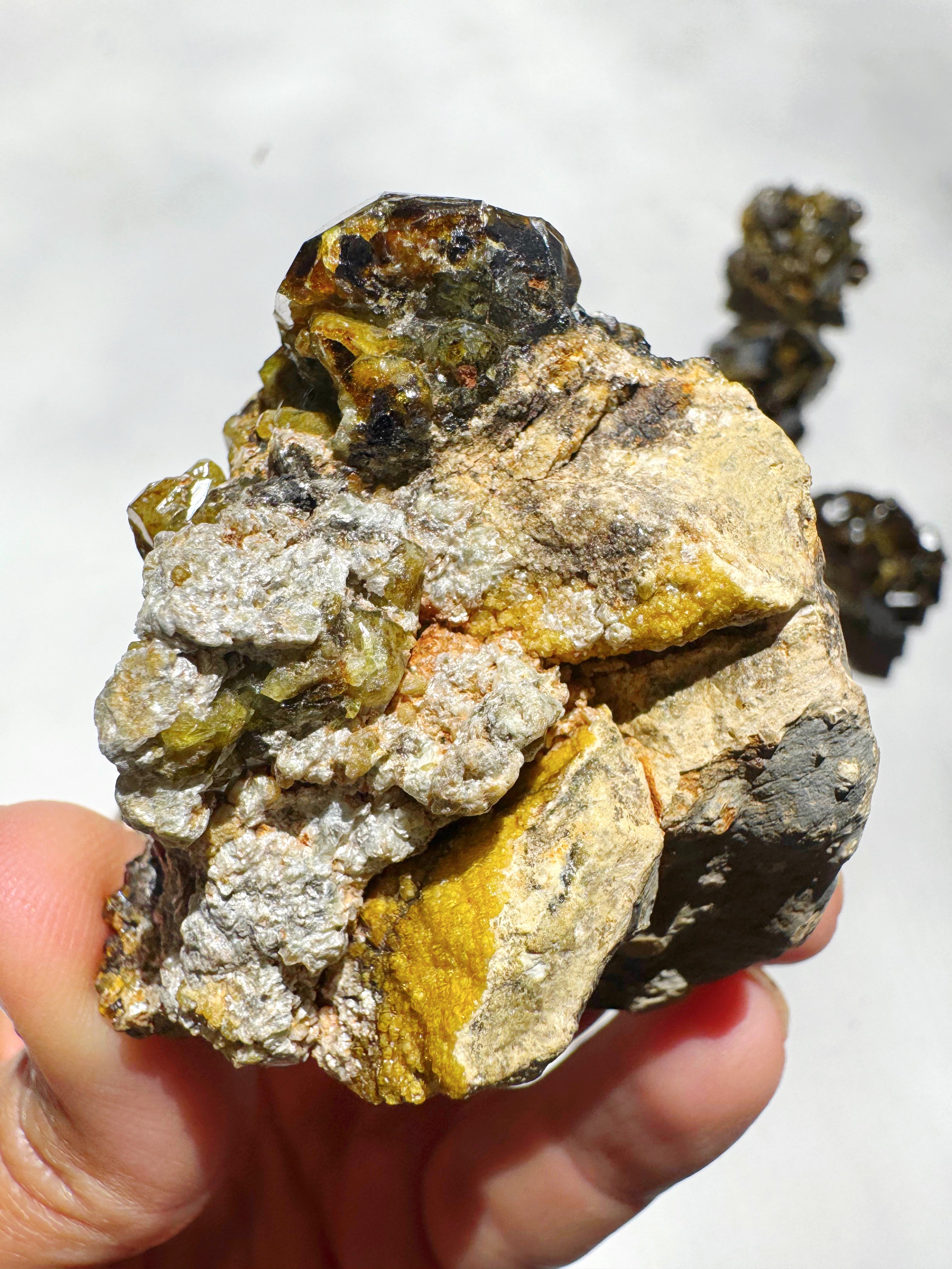 Rare Mali Green Grossular Andradite Garnet w/ Clinochlore AAA Quality Baltic Mermaid