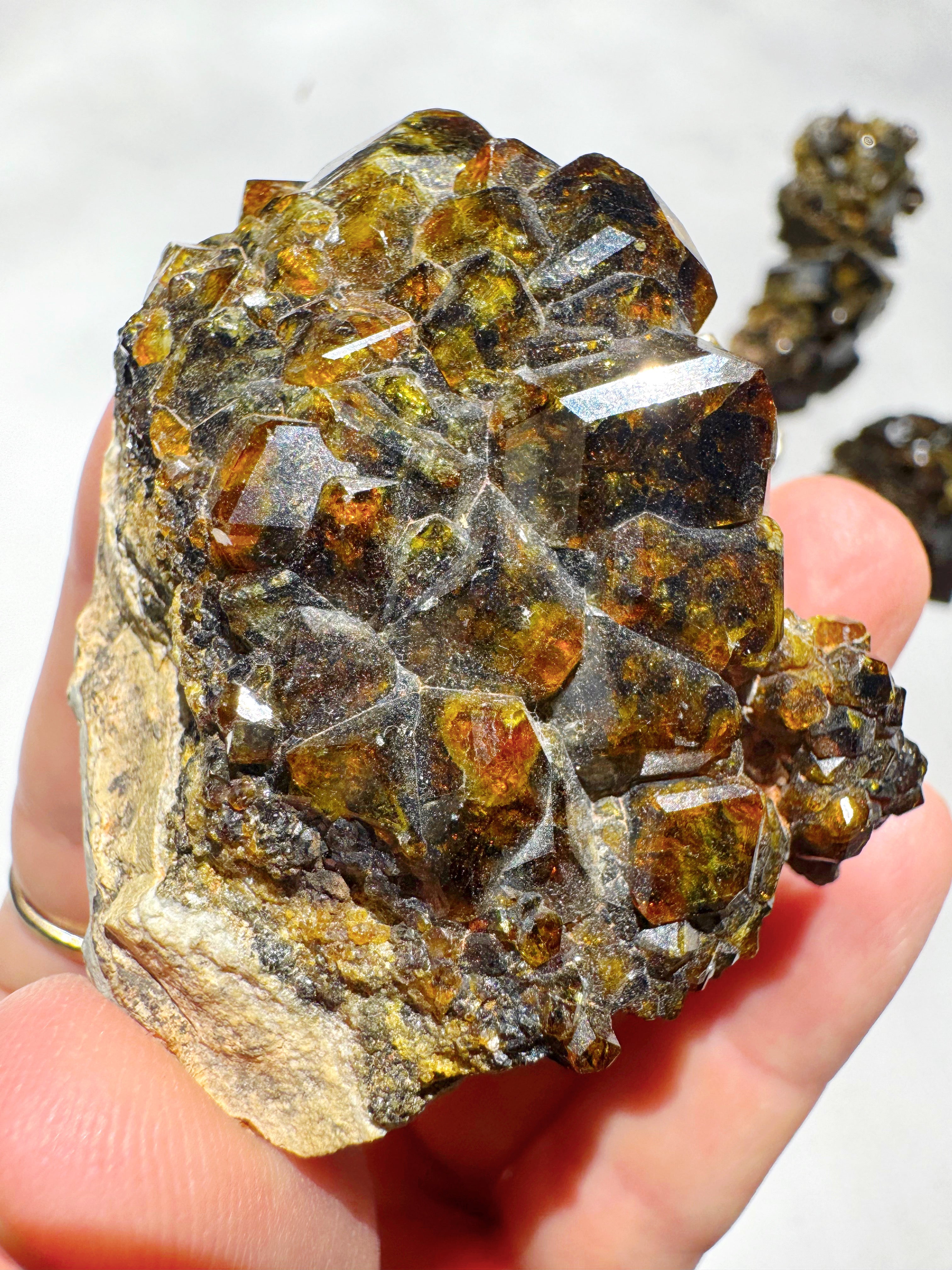 Rare Mali Green Grossular Andradite Garnet w/ Clinochlore AAA Quality Baltic Mermaid