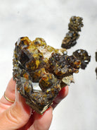 Rare Mali Green Grossular Andradite Garnet w/ Clinochlore AAA Quality Baltic Mermaid