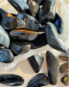 Blue Tiger Eye Tumbled Stones - Baltic Mermaid