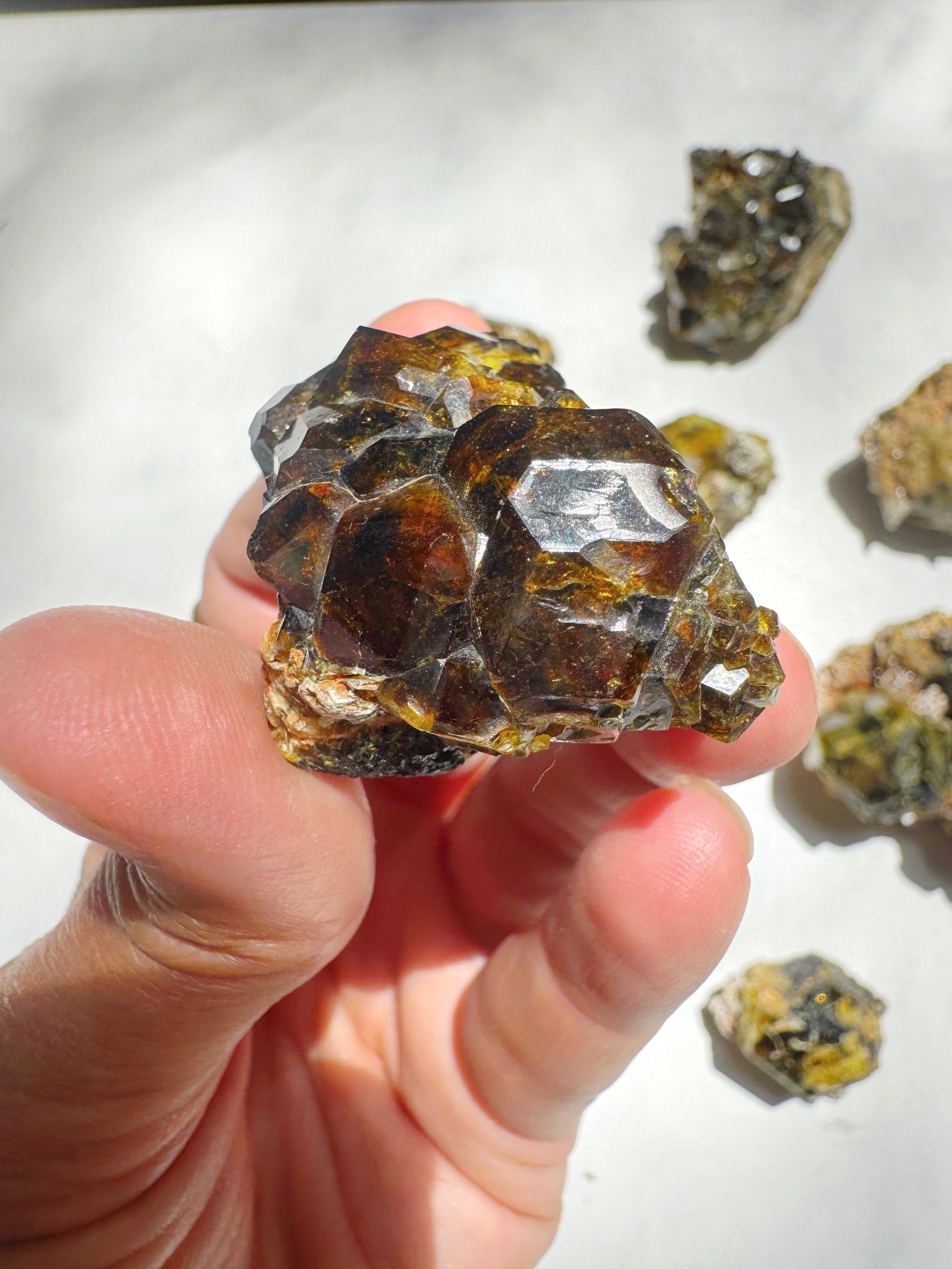 Rare Mali Green Grossular Andradite Garnet Epimorph w/ Clinochlore AAA Quality Baltic Mermaid