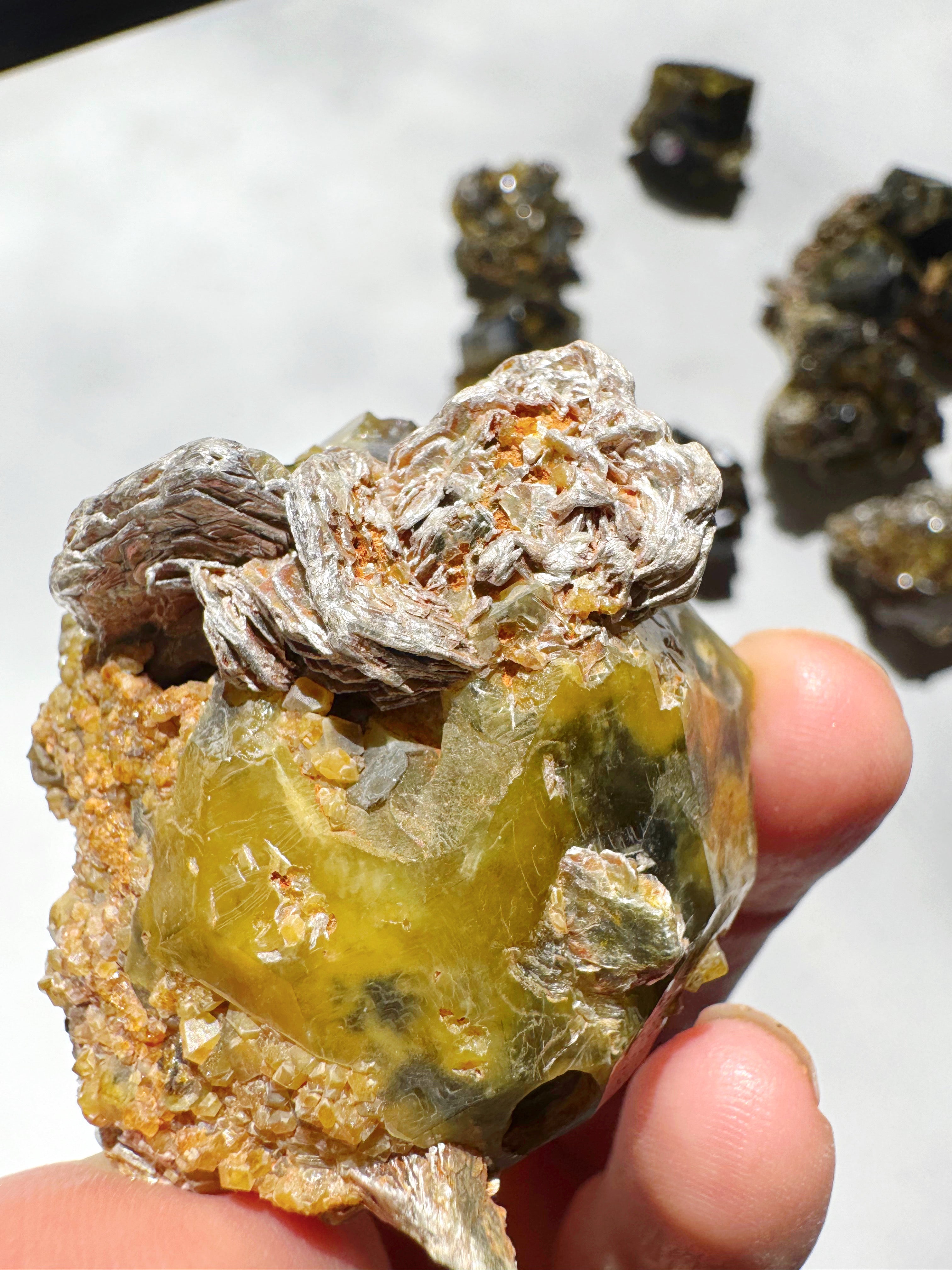 Rare Mali Green Grossular Andradite Garnet w/ Clinochlore AAA Quality Baltic Mermaid