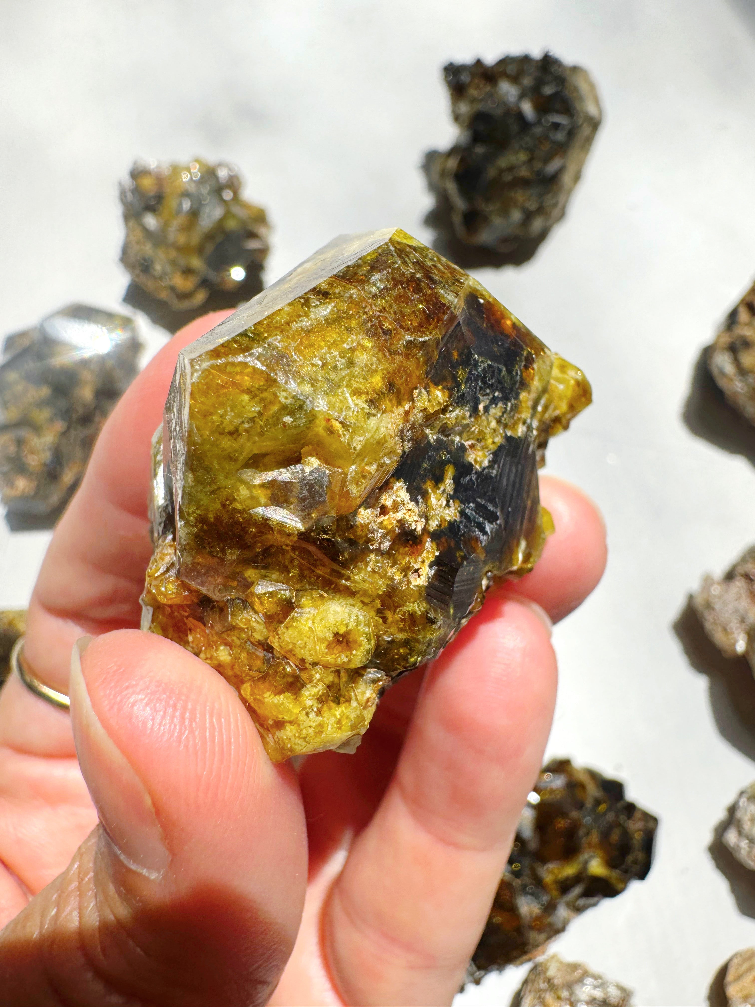 Rare Mali Green Grossular Andradite Garnet w/ Clinochlore AAA Quality Baltic Mermaid