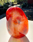 Carnelian Agate Freeform