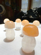 Lil’ Selenite Mushrooms Baltic Mermaid