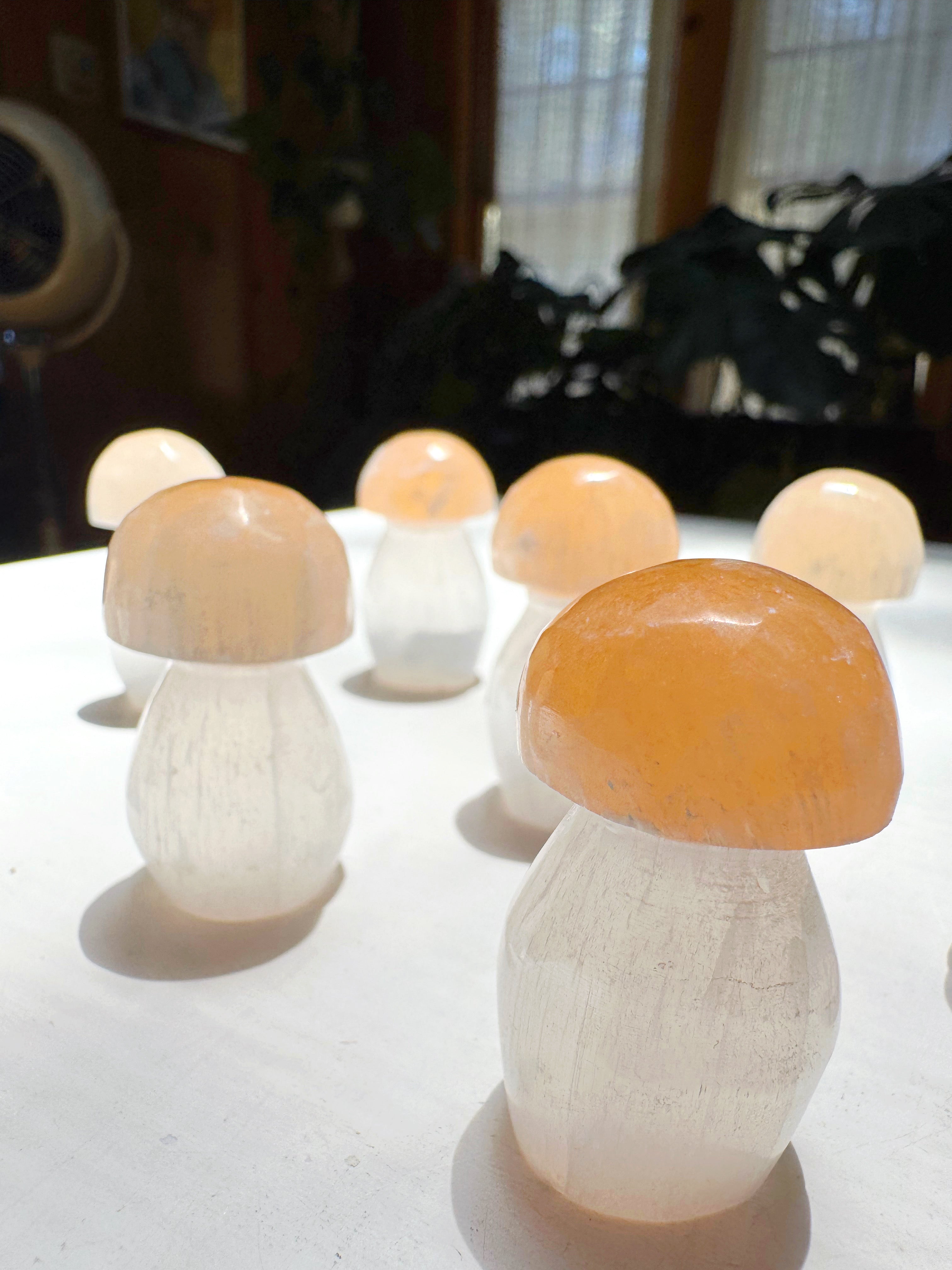 Lil’ Selenite Mushrooms Baltic Mermaid