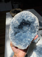Celestite Cluster Baltic Mermaid