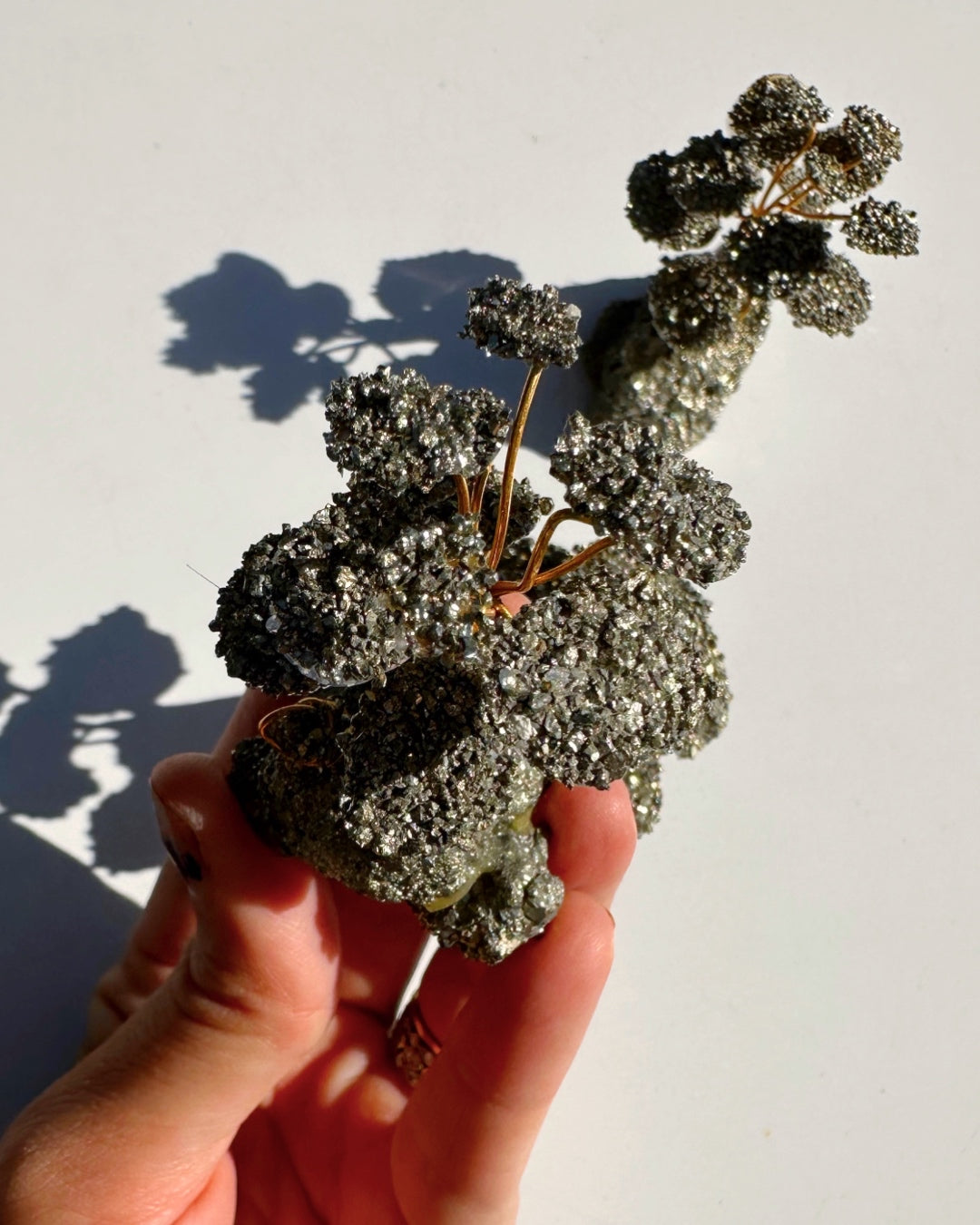 Pyrite Abundance Tree - Baltic Mermaid