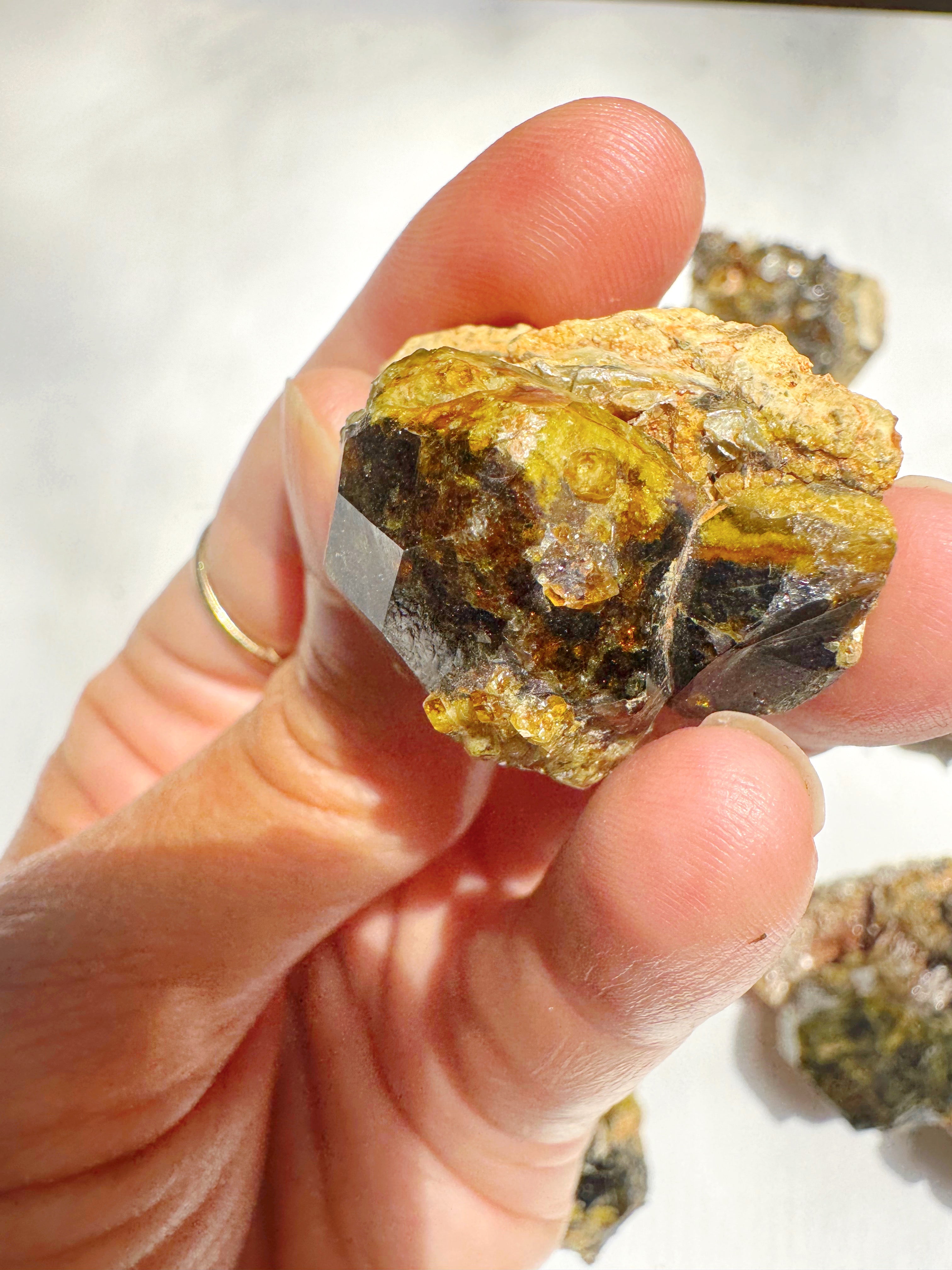 Rare Mali Green Grossular Andradite Garnet w/ Clinochlore AAA Quality Baltic Mermaid