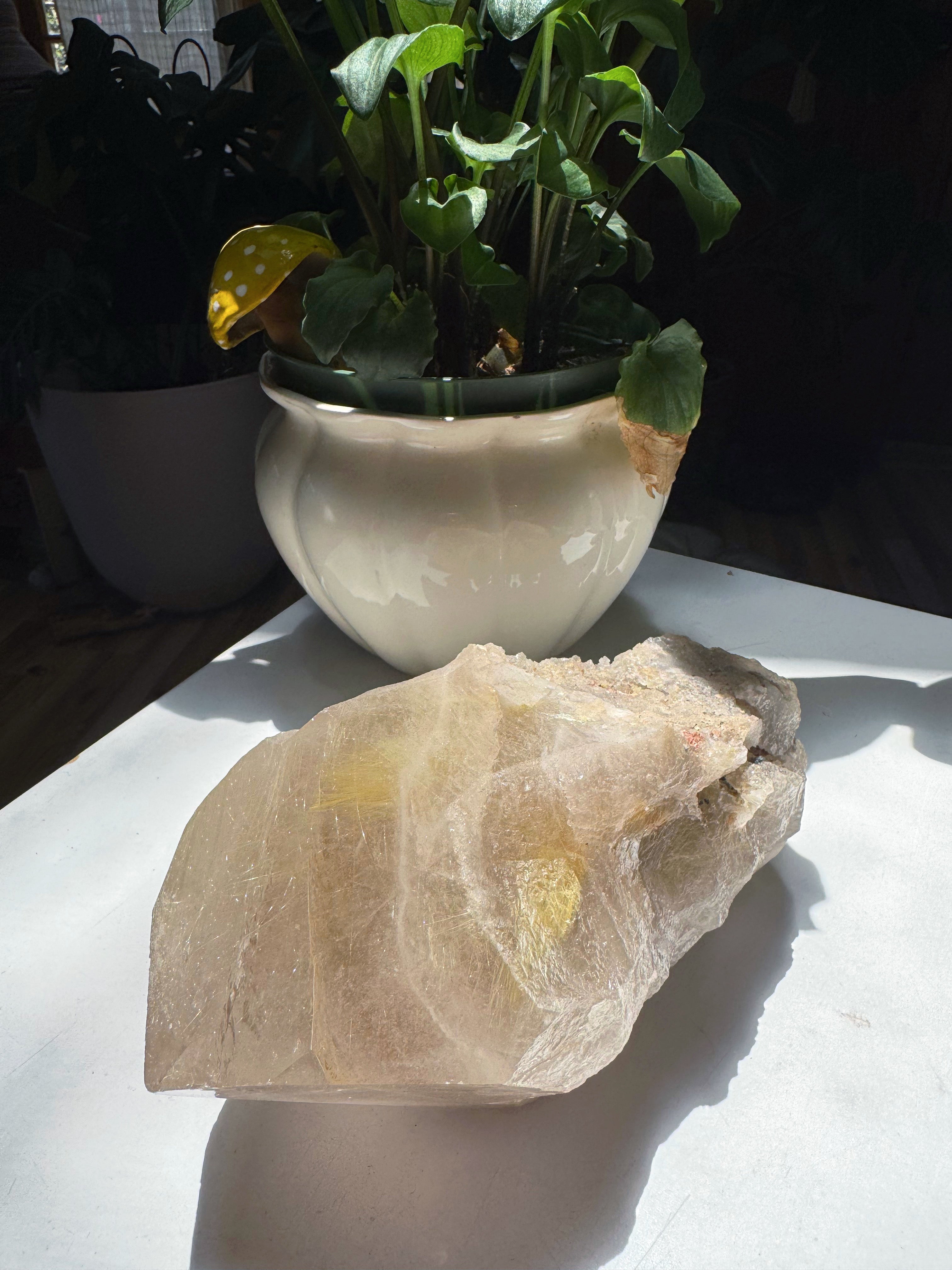 Large Rutilated Quartz Point from Brazil w/ Recordkeepers Baltic Mermaid