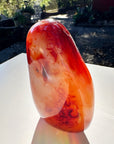 Carnelian Agate Freeform