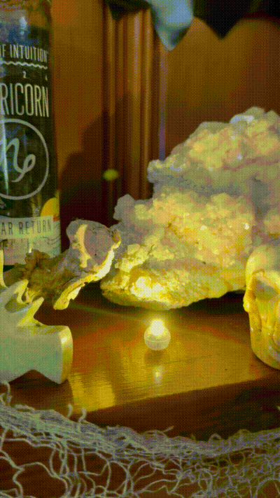 Orange Calcite Jack-O-Lantern - Baltic Mermaid