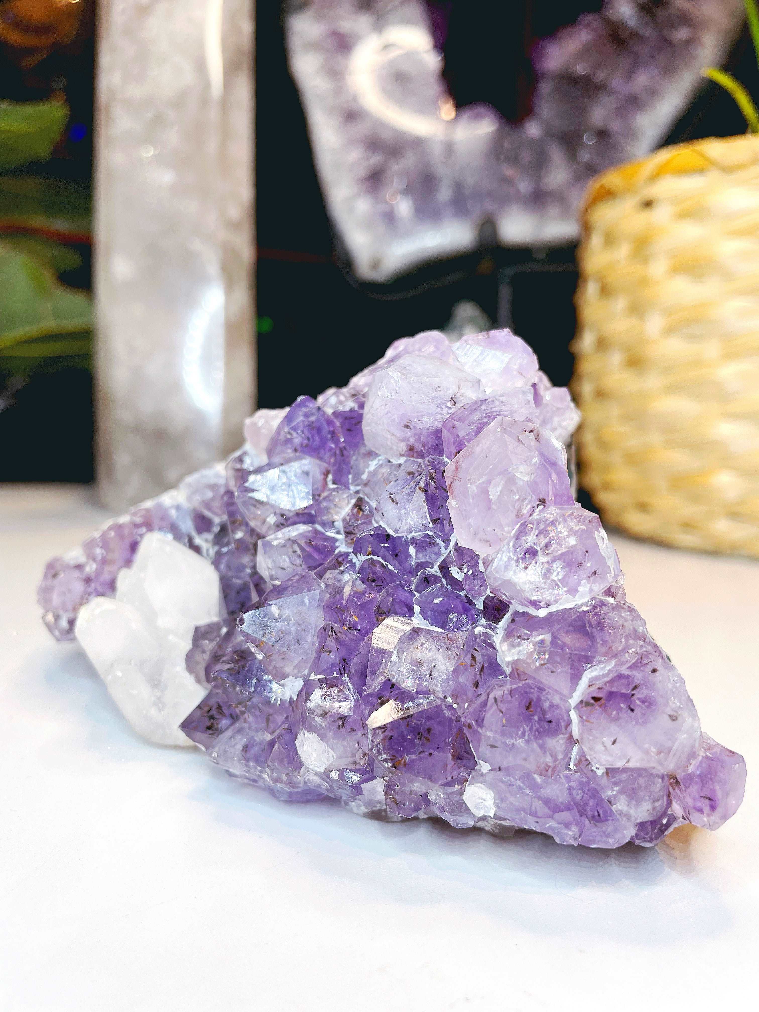Amethyst Cluster w/ Dogtooth Calcite
