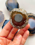 Agate Magnet Set O