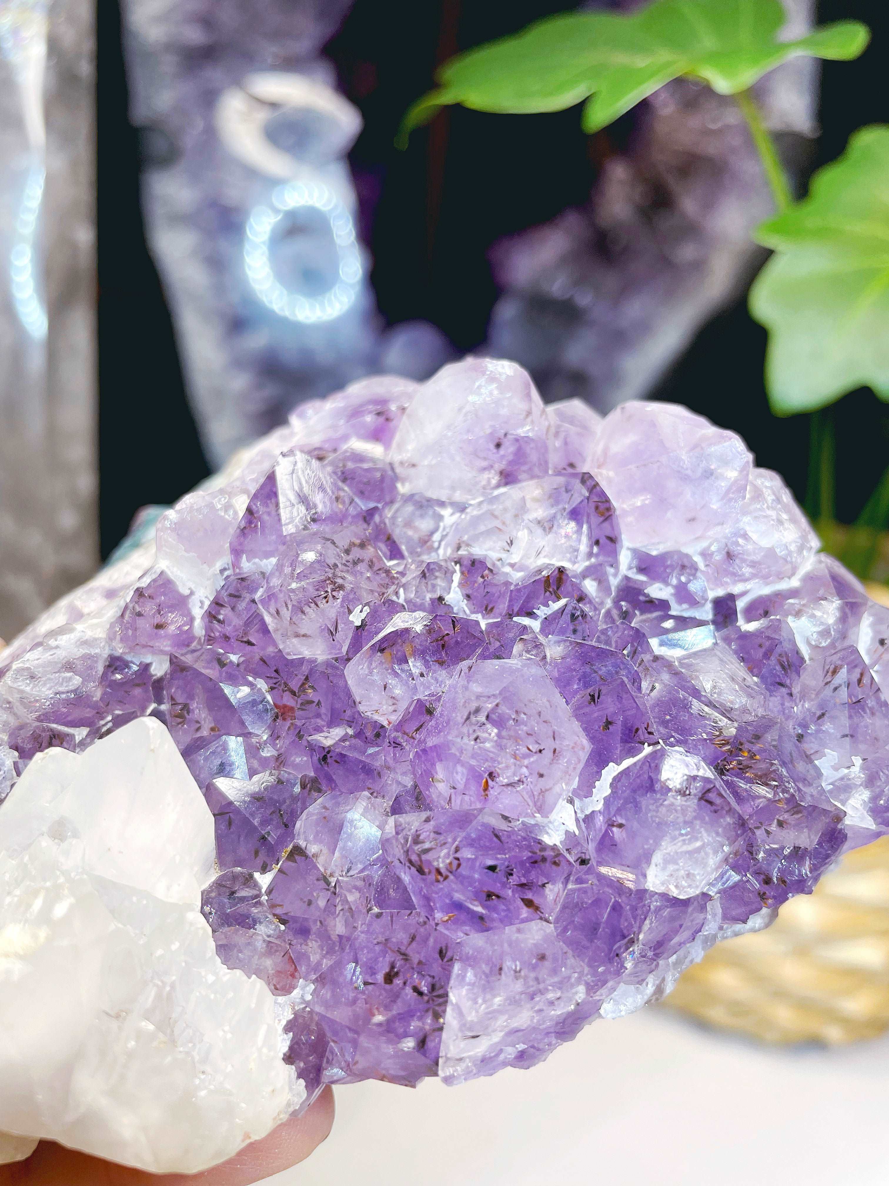 Amethyst Cluster w/ Dogtooth Calcite