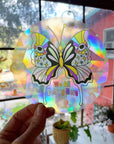 “We All Belong Here” Butterfly Rainbow Prism Window Decal