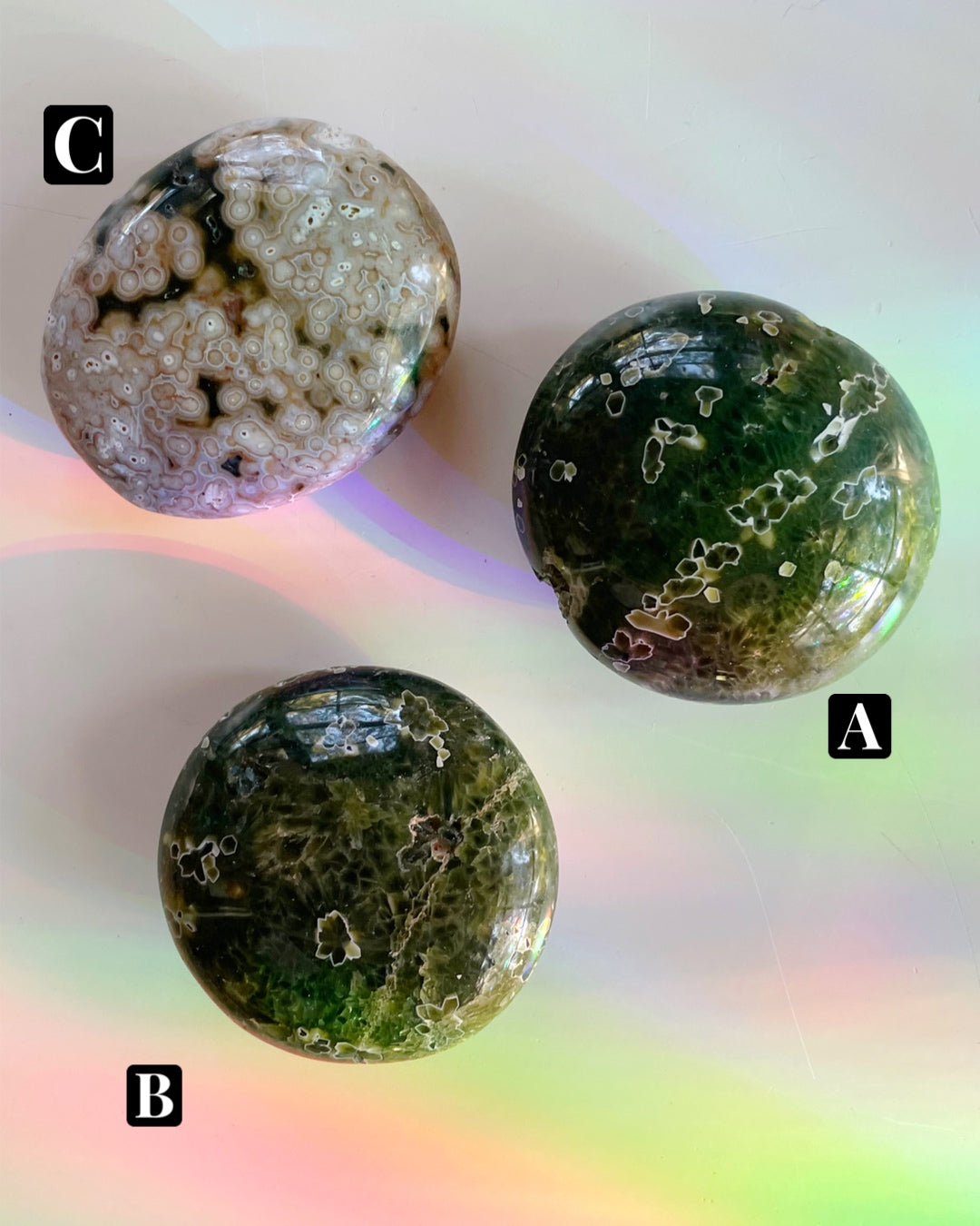 Ocean Jasper Palm Stones 7th Vein - Baltic Mermaid