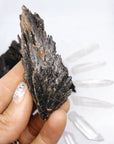 Black Kyanite Fans