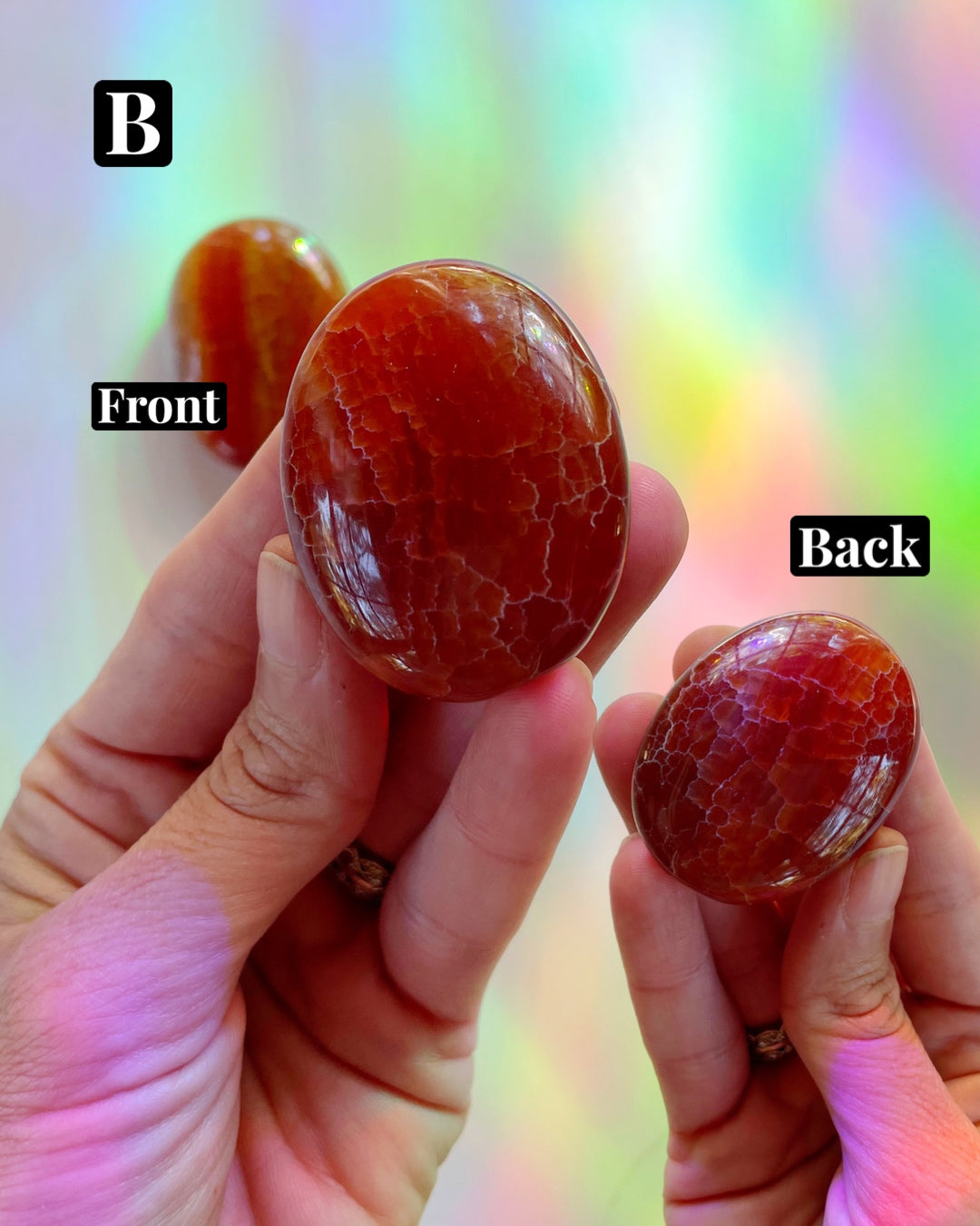 Snakeskin Agate Palm Stones - Baltic Mermaid