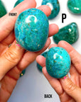 Chrysocolla Palm Stones/Large Tumbles