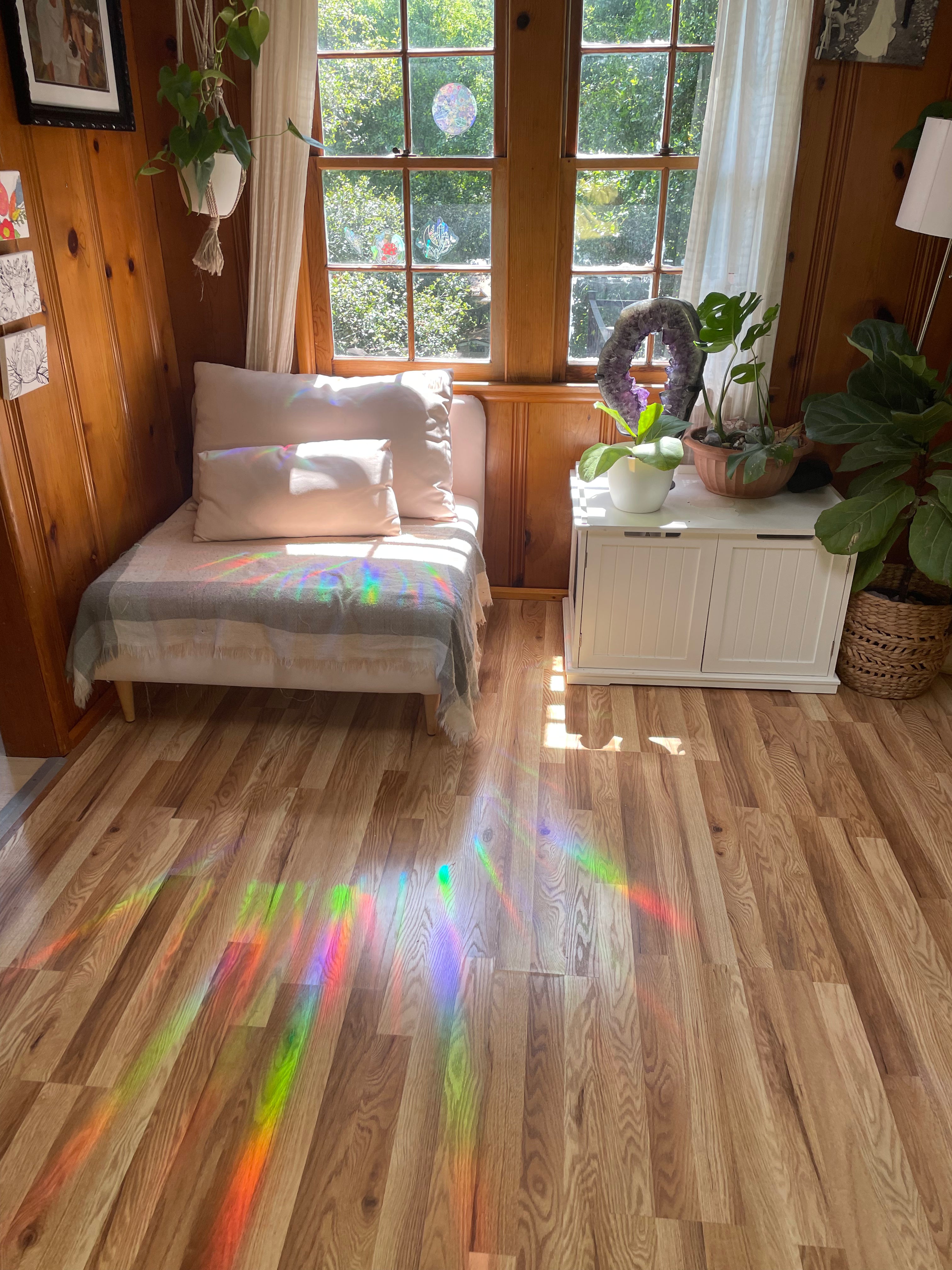 Mushrooms in Jar Rainbow Prism Window Decal - Baltic Mermaid