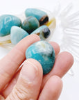 Amazonite Tumbled Stones AA