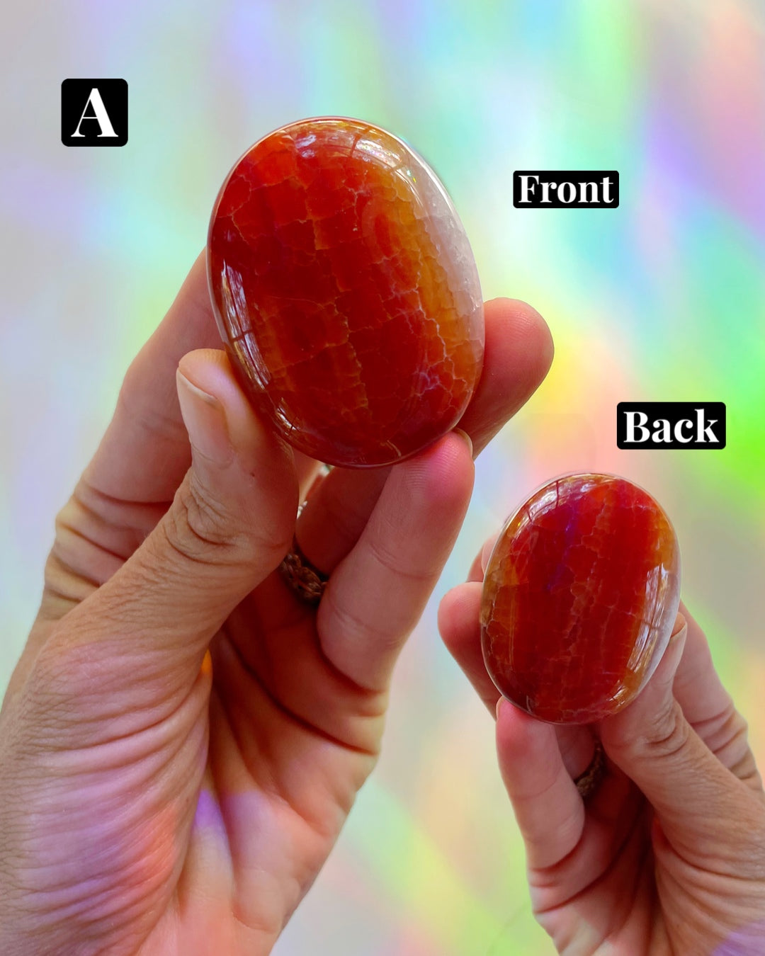 Snakeskin Agate Palm Stones - Baltic Mermaid