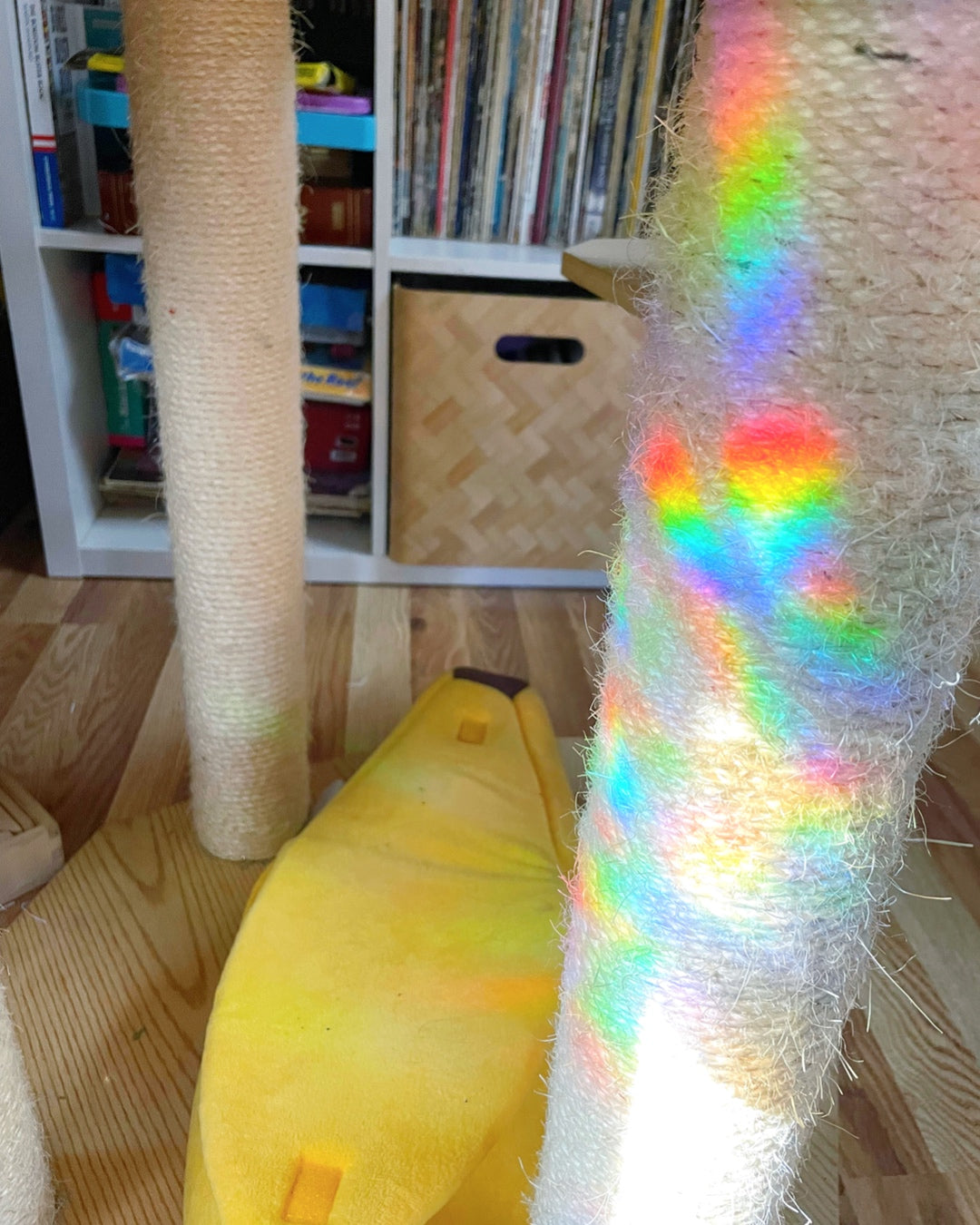 “We All Belong Here” Butterfly Rainbow Prism Window Decal - Baltic Mermaid