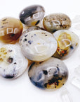 Dendritic Agate Palm Stones