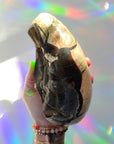 Septarian Geode Dragon Egg - Cutbase