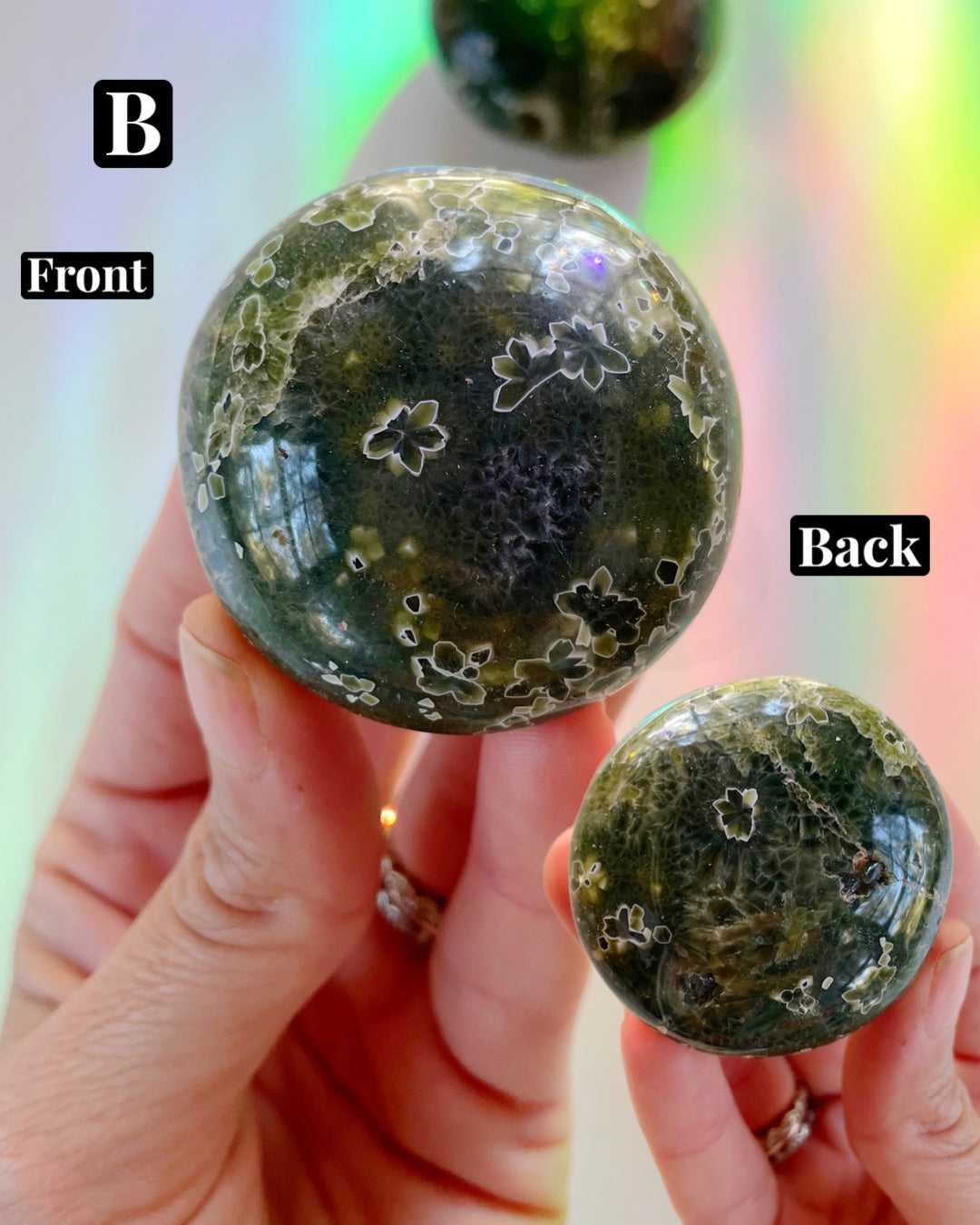 Ocean Jasper Palm Stones 7th Vein - Baltic Mermaid