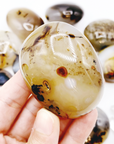 Dendritic Agate Palm Stones