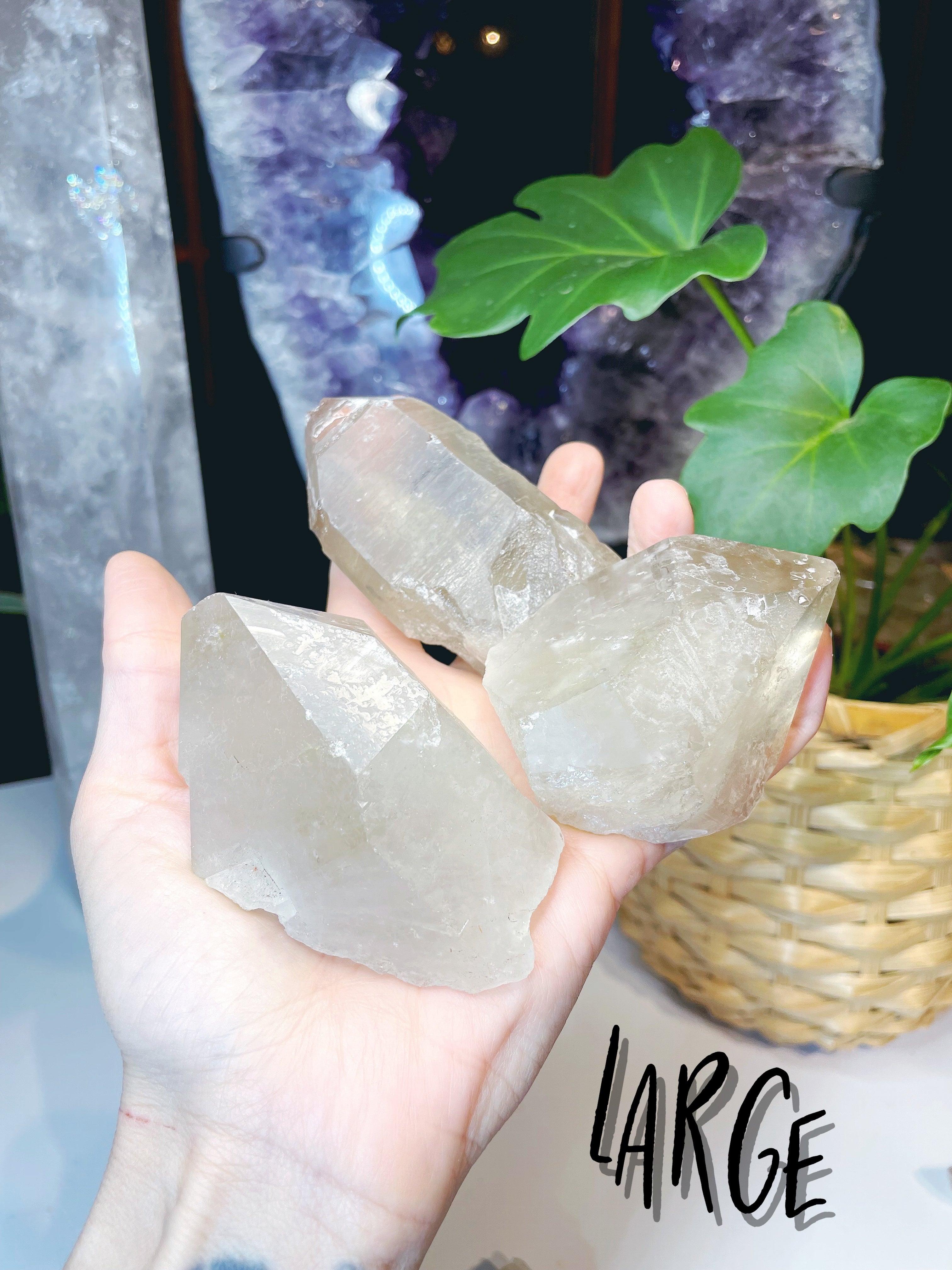 Natural Smoky Quartz Points - Baltic Mermaid