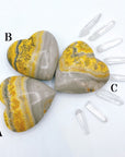 Bumblebee Jasper Hearts