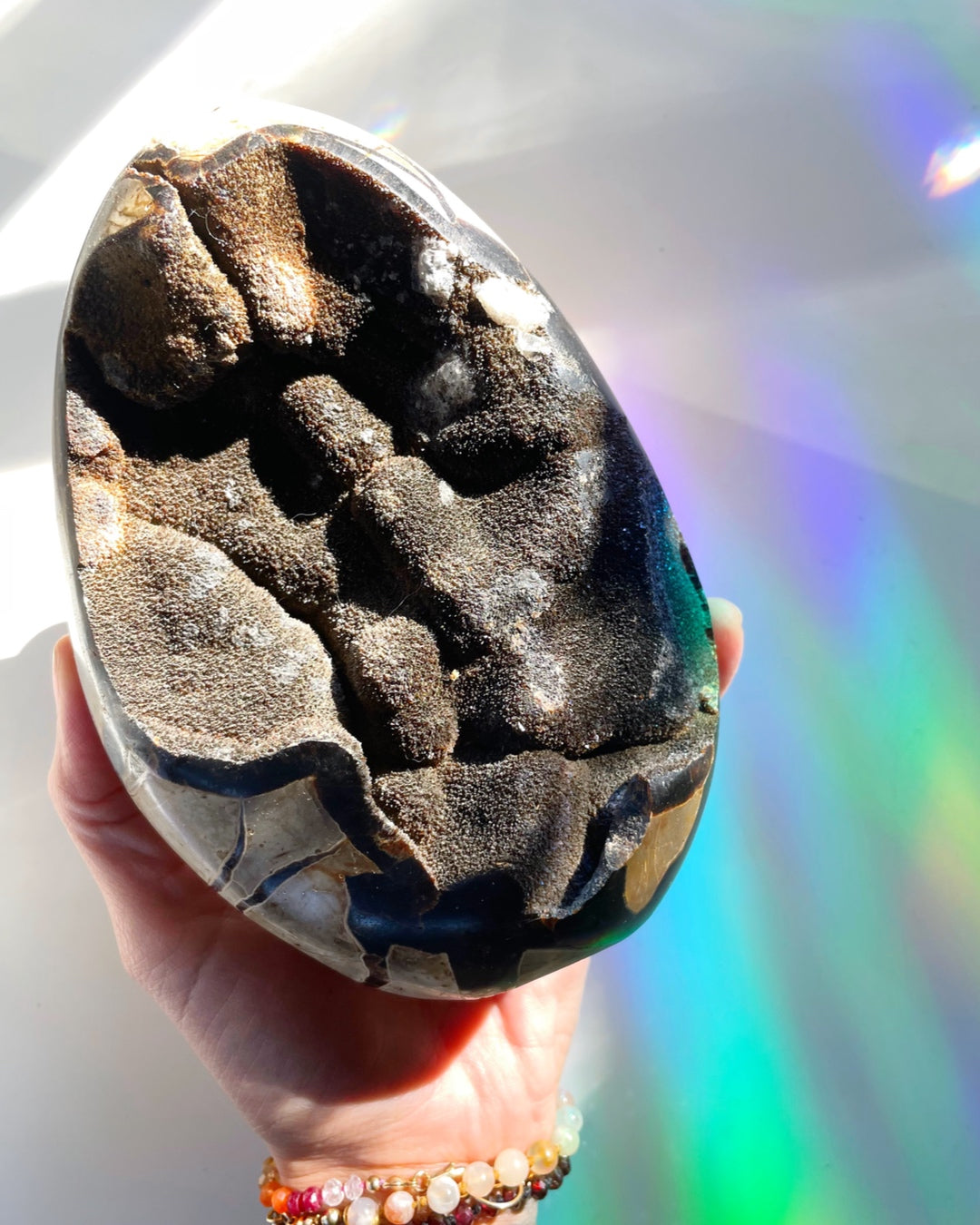 Septarian Geode Dragon Egg - Cutbase - Baltic Mermaid