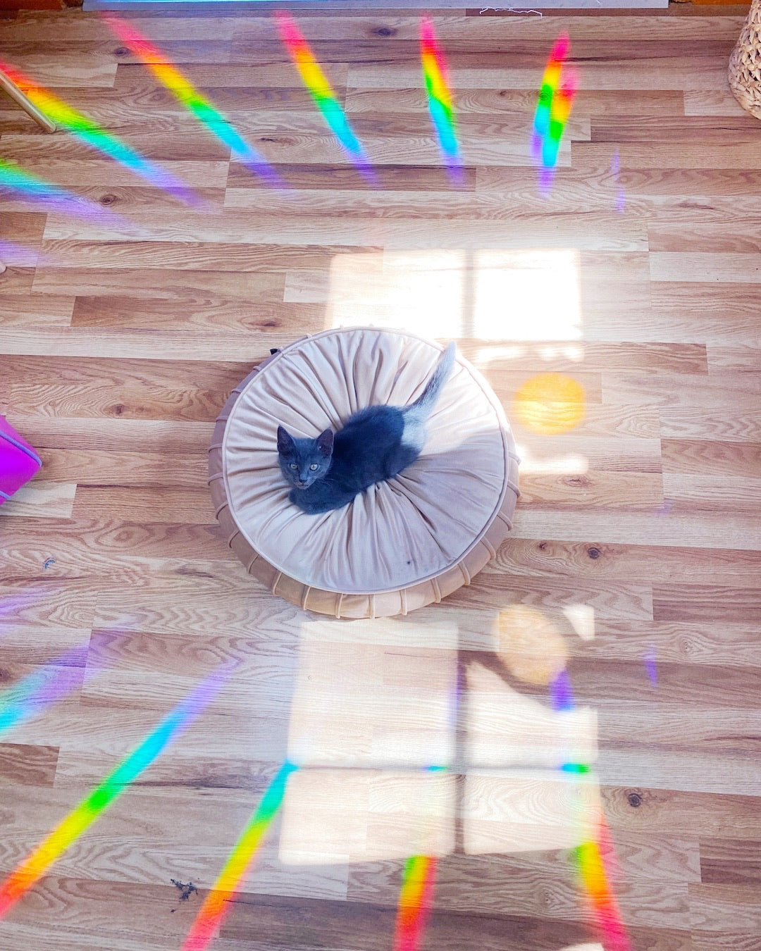 Crystals by the Moonlight Rainbow Prism Window Decal - Baltic Mermaid