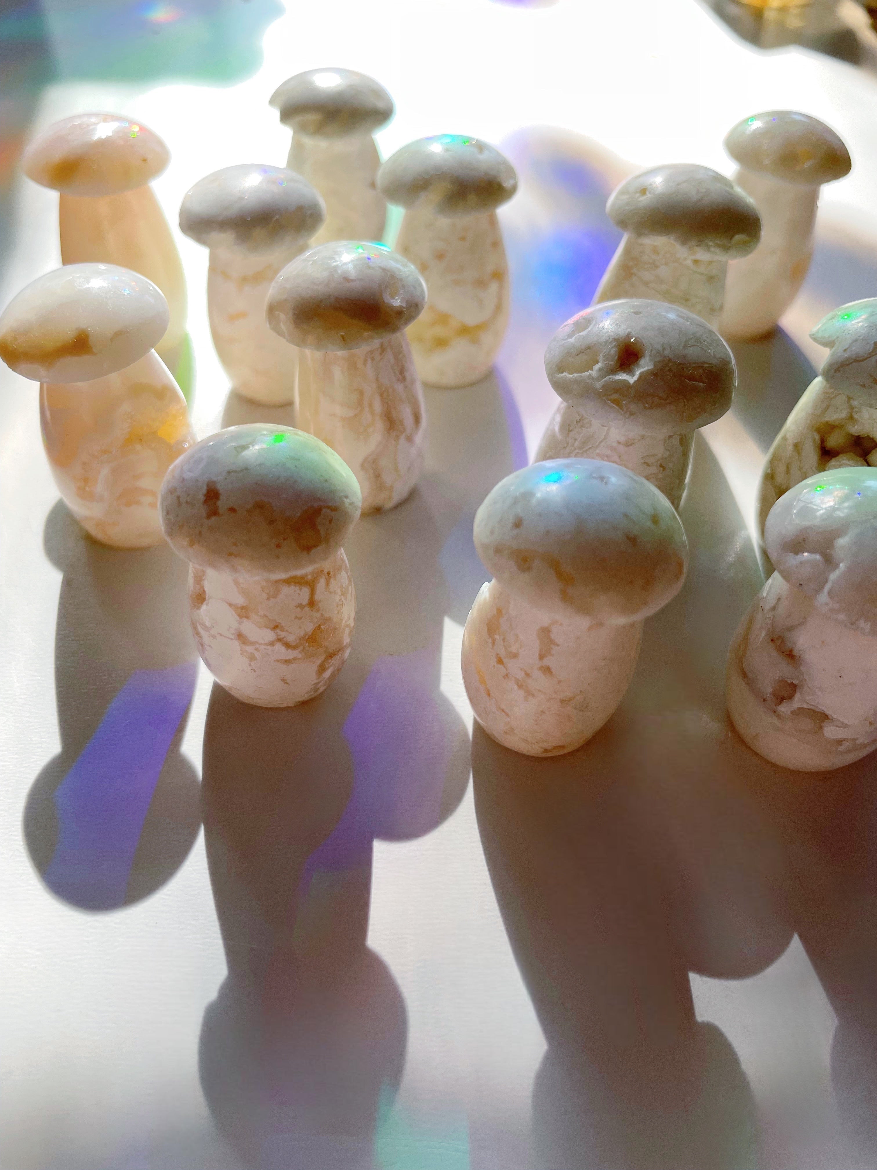 Snow Agate Mushroom - Baltic Mermaid